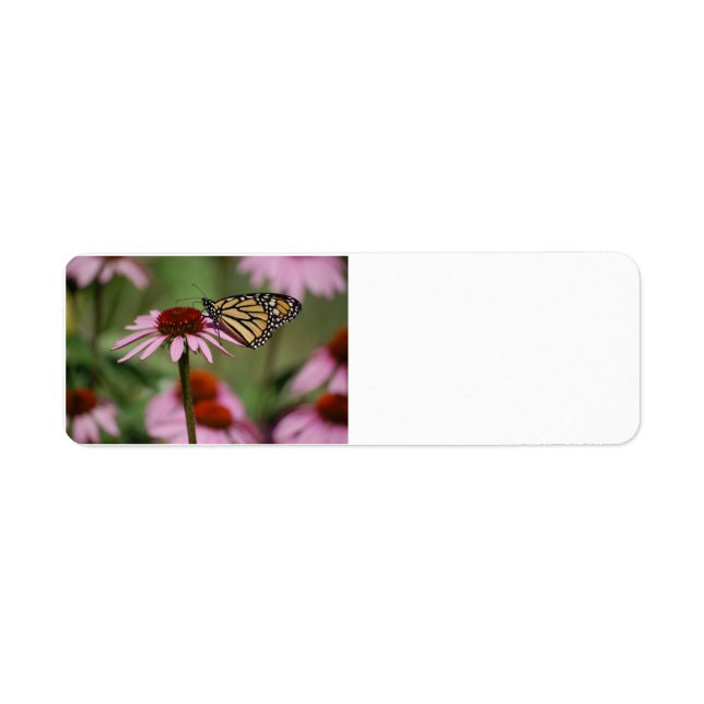 Papillon Monarque sur Fleur (Devant)