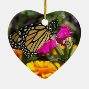 Papillon Monarque sur ornement de coeur marigold r