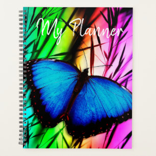 Papillon Morpho Bleu