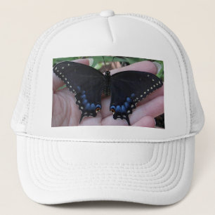 Papillon noir à queue noire #1 Casquette