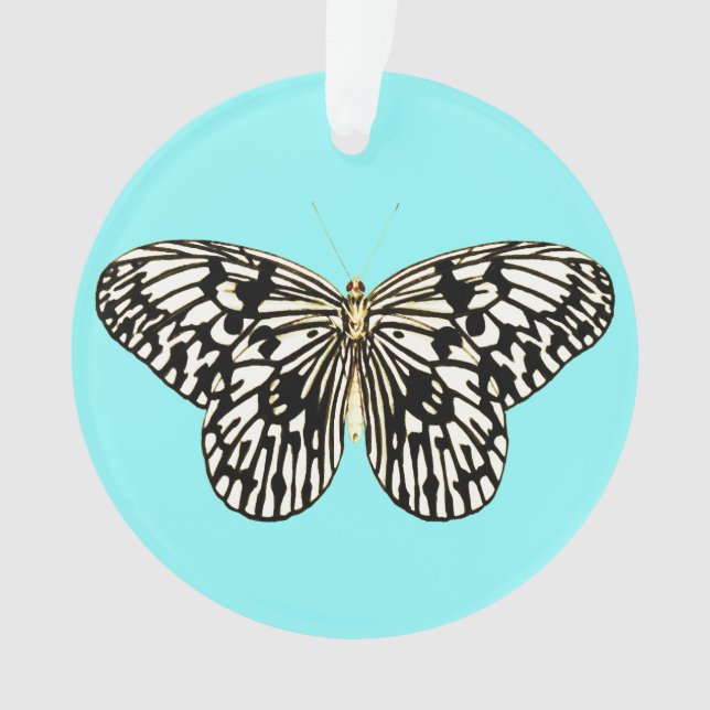 Papillon noir et blanc, arrière - plan turquoise (devant)