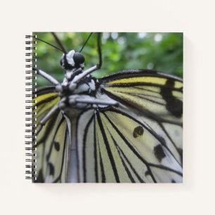 Papillon noir et blanc Carnet de fermeture