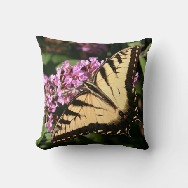 Papillon noir swallowtail oreiller (Recto)