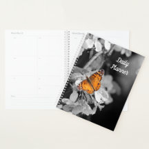 Papillon orange sur Apple Blossom Daily Planner