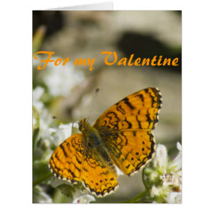 Papillon orange Valentine