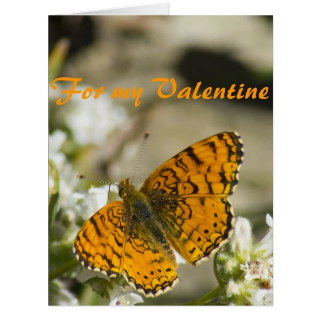 Papillon orange Valentine (Devant)
