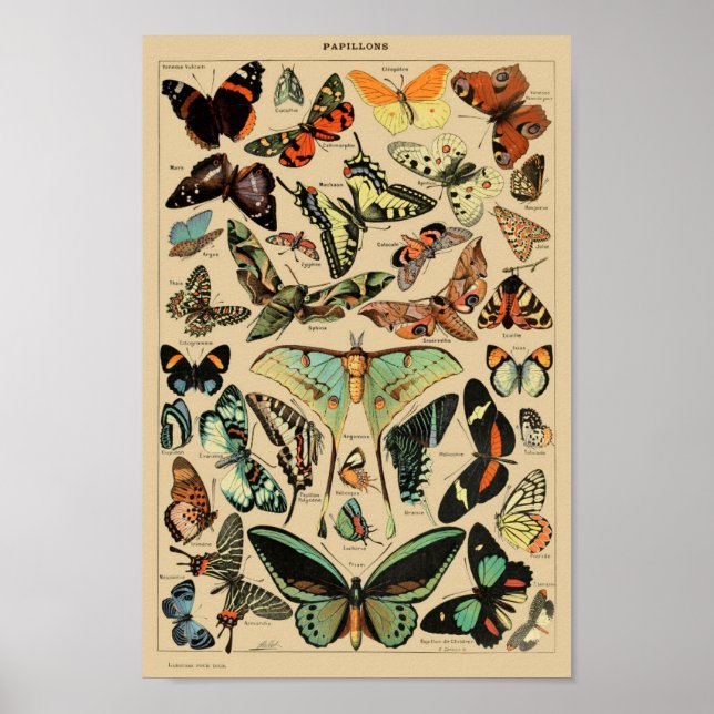 Papillon (Papillons) Poster Vintage français (Devant)