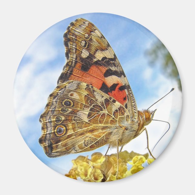 Papillon peint Lady Magnet (Devant)