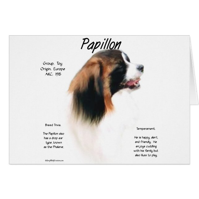 Papillon (Phalene) History Design (Front Horizontal)