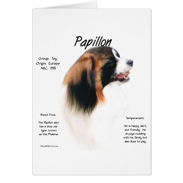 Papillon (Phalene) History Design (Front)