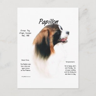 Papillon (Phalene) History Design Postcard