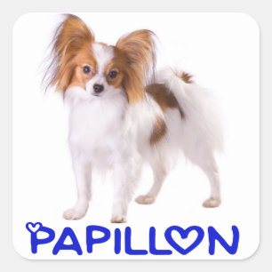 Papillon Puppy Dog - Love Puppies, Hello Square Sticker