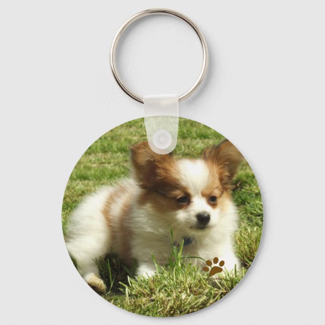 Papillon Puppy Keychain (Front)