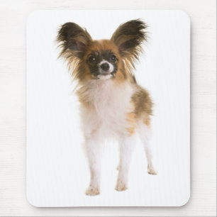 Papillon Puppy Mom Dog Lover Puppies Fur Mama Mouse Pad