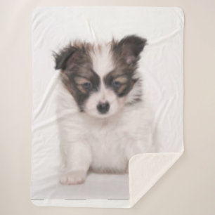 PAPILLON PUPPY SHERPA BLANKET