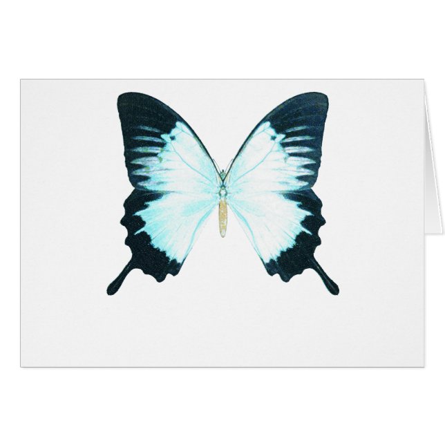 Papillon royal de paon (Devant horizontal)