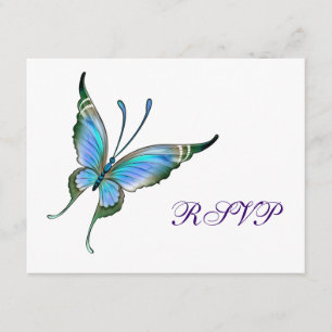 Papillon sarcelle RSVP sur fond de couleur au choi