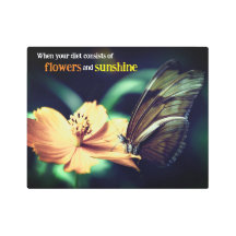 Papillon se nourrissant de fleurs