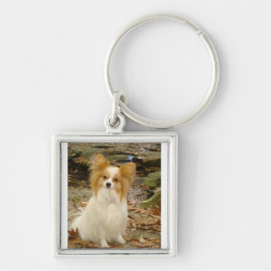Papillon sitting.png keychain