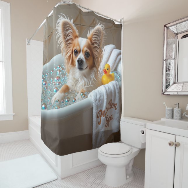 Papillon Sloppy Sleepy Cute Funny (In Situ)