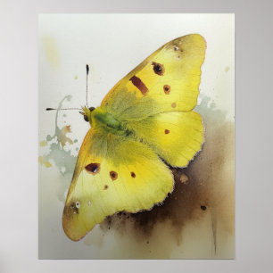 Papillon Sulfuré Nuageux Impression d'Art Affiche