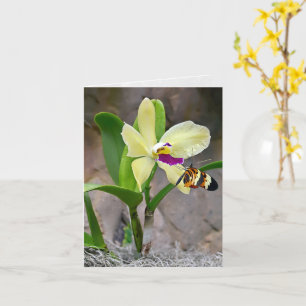 Papillon sur Carte pour notes de fleurs d'orchidée