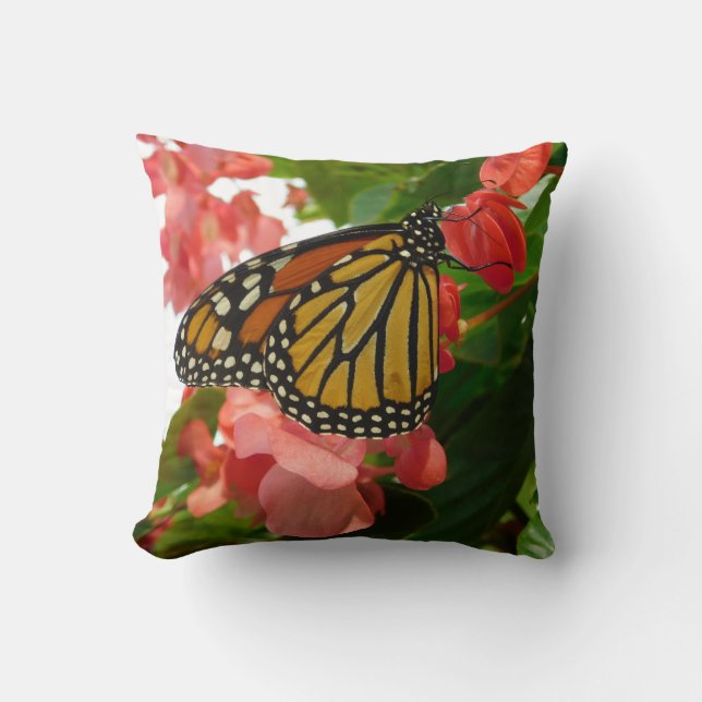 Papillon sur Coussin Fleurs rouges (Recto)