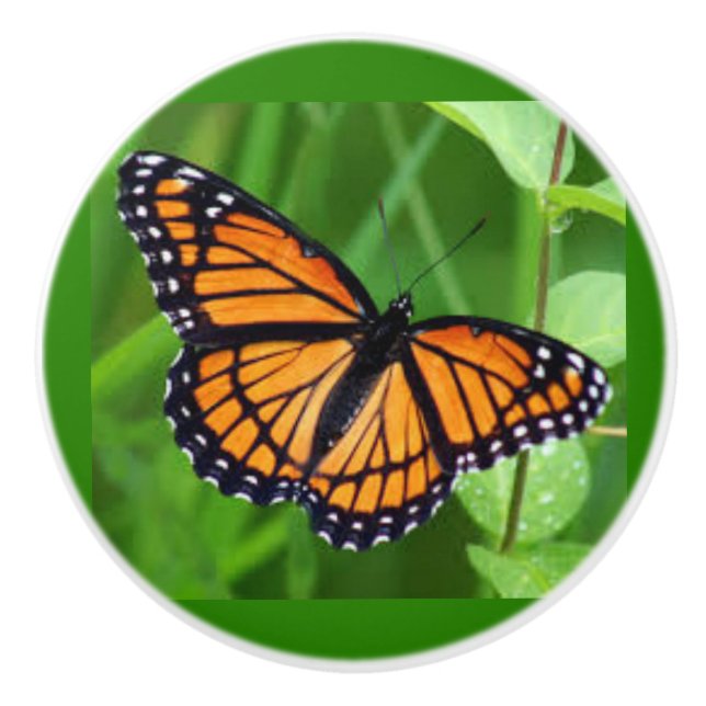 Papillon sur des boutons et des pulls en céramique (Devant)