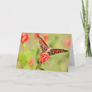 Papillon sur la carte Casquette de Flower Note de 