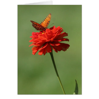 Papillon sur la fleur