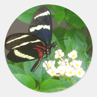Papillon sur les autocollants de fleurs