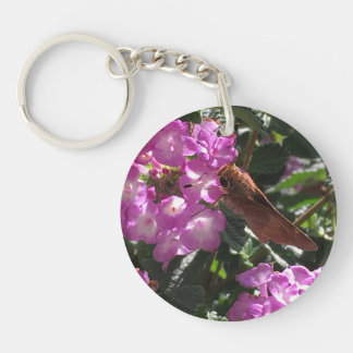 Papillon sur les fleurs de Lantana violette