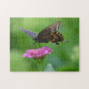 Papillon sur Zinnia Puzzle