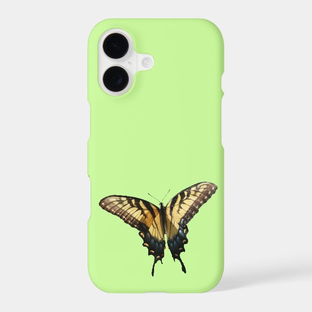 Papillon Swallowtail III Belle photo colorée (Verso)