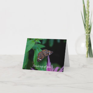 Papillon tacheté Penser à votre carte
