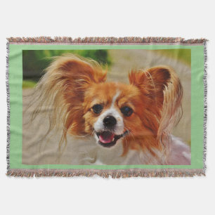 Papillon throw blanket.