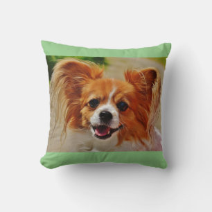 Papillon throw pillow. pillow