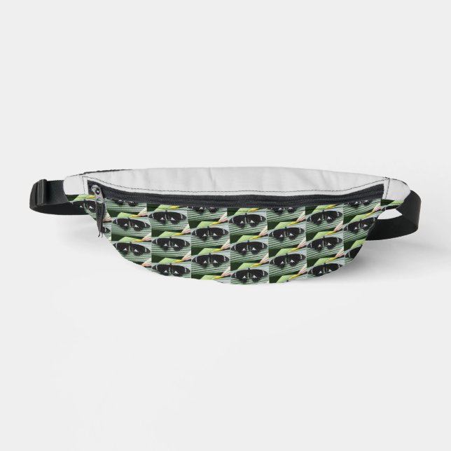 Papillon tropical noir et blanc (Recto)