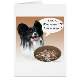 Papillon Turquie