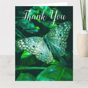 Papillon vert d'émeraude - Grand Carte de remercie