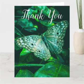 Papillon vert d'émeraude - Grand Carte de remercie