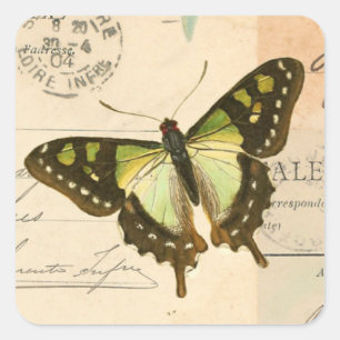 Papillon vintage rustique en autocollant vert