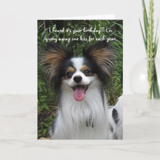 Papillon You're how Old Birthday Card