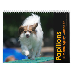 Papillons Agility Wall Calendar