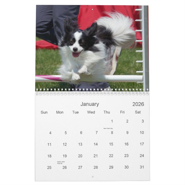 Papillons Agility Wall Calendar (Jan 2026)
