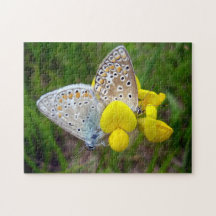 Papillons bleus communs Puzzle photo avec boîte ca