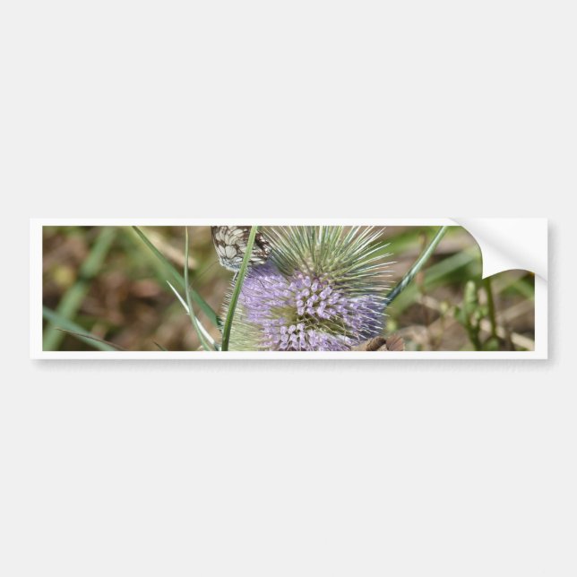 Papillons Bumper Sticker (Front)