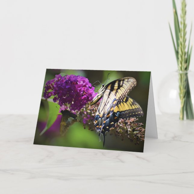 Papillons, carte (Devant)