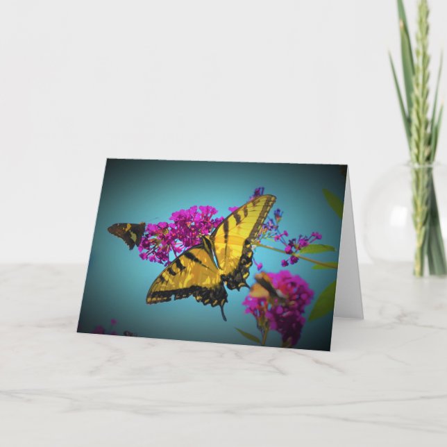 Papillons, carte (Devant)