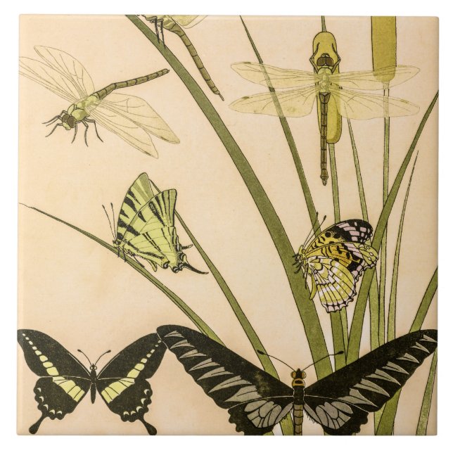 Papillons & Dragonflies by Maurice Verneuil Tile (Front)